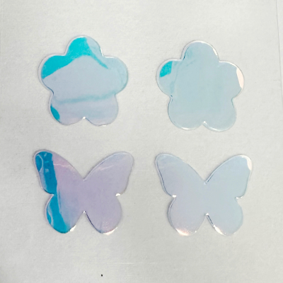 홀로그램 샘플 2